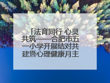法育同行 心灵共筑——合肥市五一小学开展结对共建暨心理健康月主题活动